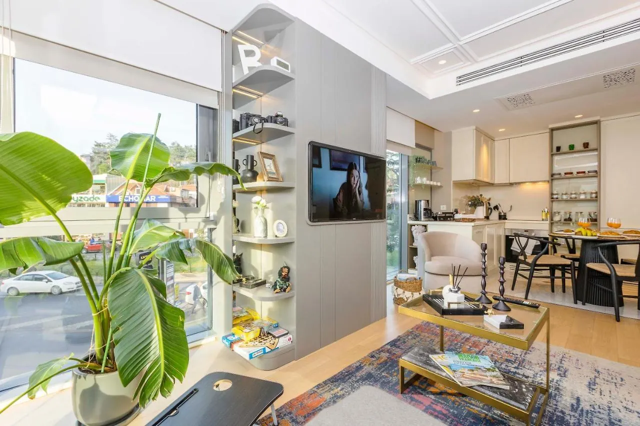 Acibademflat Apartment Istanbul Turkey