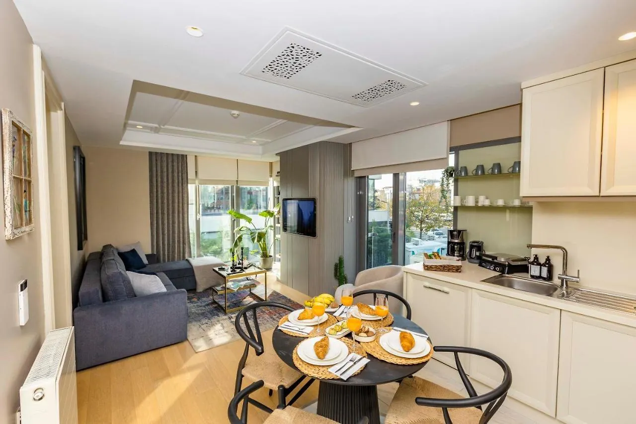 Acibademflat Apartment Istanbul